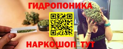 прущие крисы Канаш