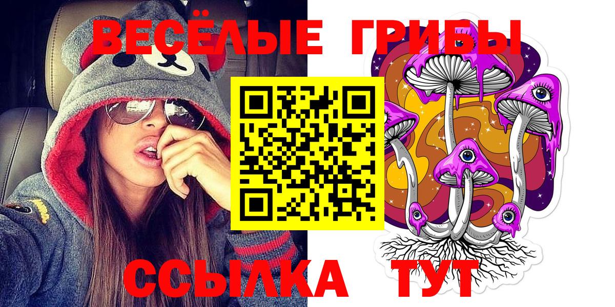наркошоп  Вход с VPN  Кыштым  Псилоцибиновые грибы GOLDEN TEACHER 