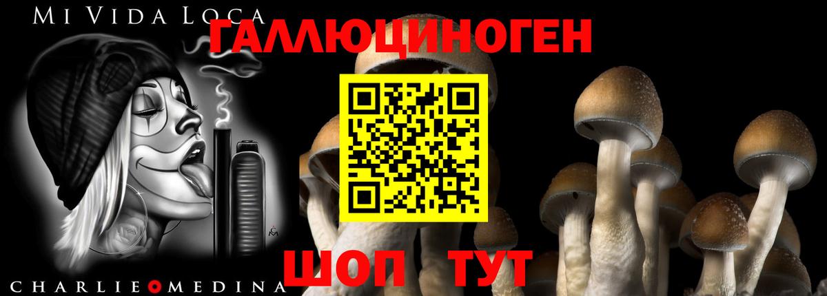 Псилоцибиновые грибы MAGIC MUSHROOMS Кыштым